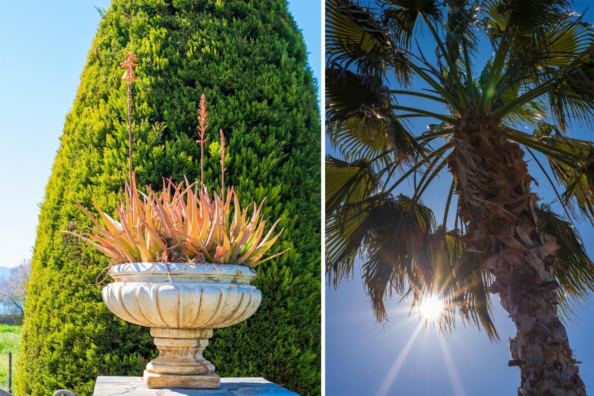 Christina'S Twin Palm Trees House Daire Agria Dış mekan fotoğraf